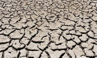 زنگ خطر در تالاب هورالعظیم به صدا درآمد