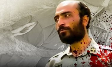 چه کسانی کوتاهی کردند که محیط بان به گلوله بسته شد