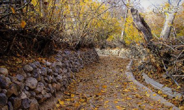 فارس پاییزی خشک و کم باران پیش‌رو دارد +فیلم
