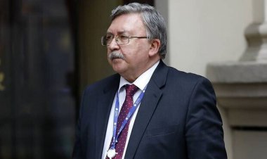 اولیانوف و دلیل اصلی بن بست مذاکرات وین