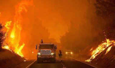 ببینید| تداوم آتش‌سوزی مهیب در جنگل‌های کالیفرنیا