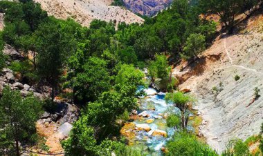 ببینید | نمایی زشت از ورودی شهر یاسوج