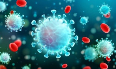 ۷۰ درصد استان بوشهر در وضعیت آبی کرونایی