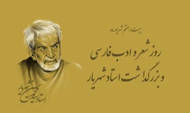 پیرم و گاهی دلم یاد جوانی می‌کند