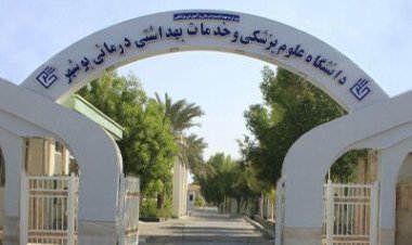 دانشجوی بوشهری دیپلم افتخار المپیاد علمی پزشکی کشور را کسب کرد    