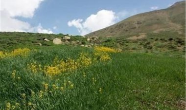 اعتبارات منابع طبیعی فارس کمتر از ظرفیت‌ها است