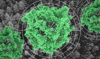 عکس | دستاورد بزرگ دانشمند ایرانی ناسا