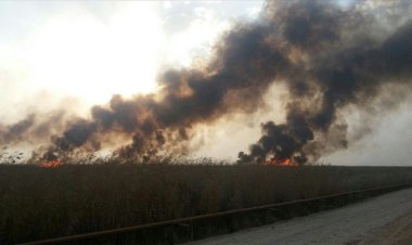 هورالعظیم در آتش صبر عراق می سوزد