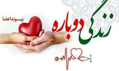 دومین مورد اهدای عضو در یک خانواده یاسوجی