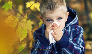 نکات مهم برای کنترل آلرژی در پاییز