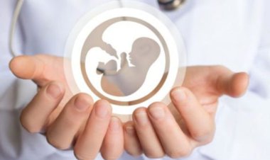 جزئیات حمایت مالی از زوجین نابارور