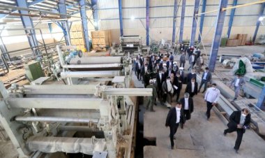 معاون استاندار فارس: پیگیر تسهیلات برای راه‌اندازی کارخانه کاغذسازی هستیم