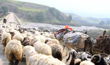 عشایر کوچرو از ۱۵ آبان مجاز به ورود به خوزستان هستند