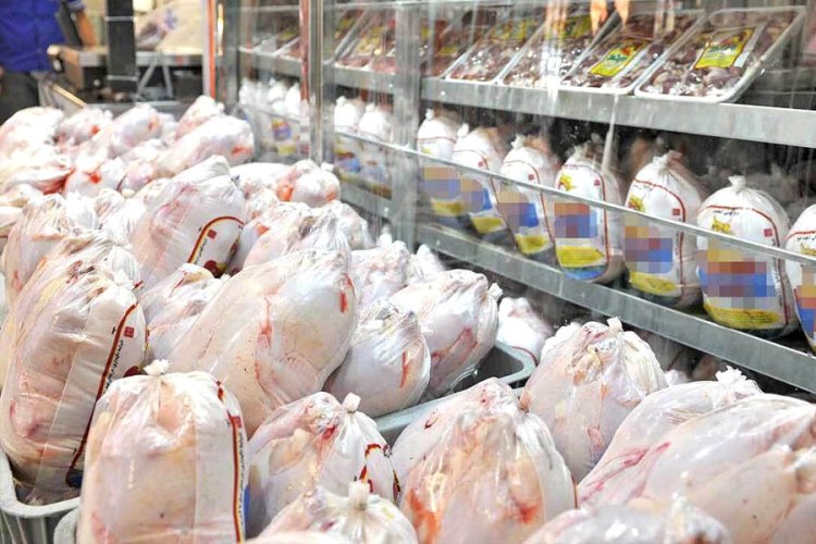 افزایش نرخ مرغ به ۶۵ هزار تومان