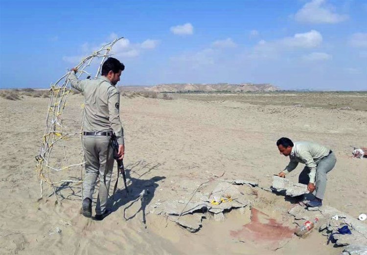 طرح مقابله با زنده‌گیری پرندگان شکاری در استان بوشهر