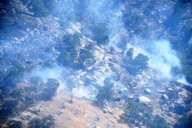 آتش سوزی جنگل های «کوه سیاه» چرام/ حریق در حال گسترش است