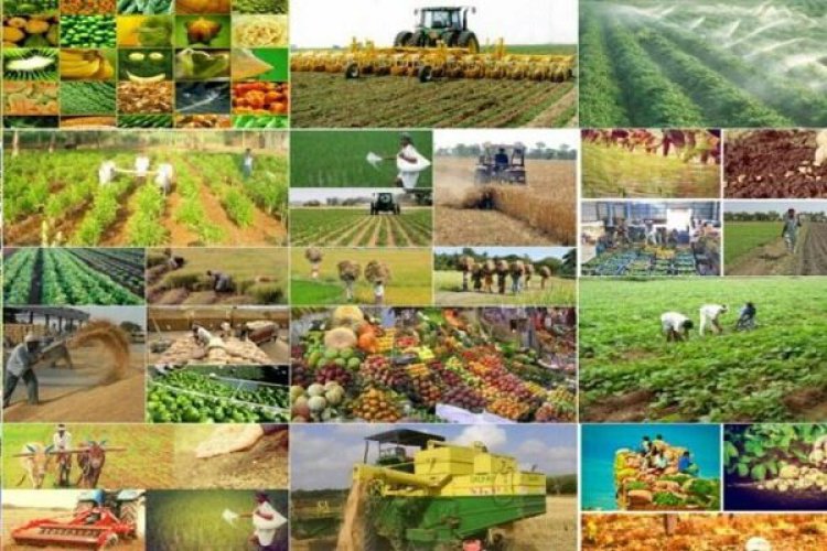 قیمت خرید تضمینی محصولات اساسی کشاورزی اعلام شد   