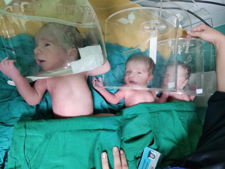 نوزادان سه قلو در گچساران به دنیا آمدند