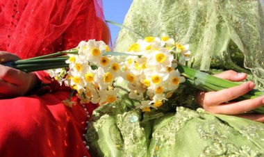 ۵ اثر ارزشمند فارس در یک قدمی ثبت آثار طبیعی کشور    