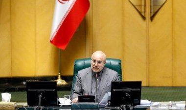 رئیس مجلس : مقام معظم رهبری  تکلیف همه را مشخص  کردند