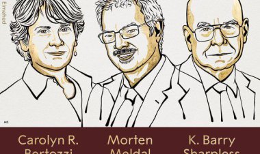 اسامی برندگان جایزه شیمی نوبل ۲۰۲۲ اعلام شد