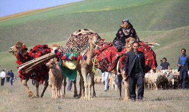 کوچ روی به دنبال بهار!