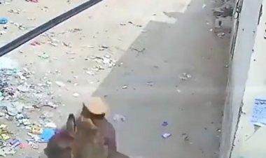 ببینید | حمله غافلگیرکننده یک گاو به شهروند بی‌گناه