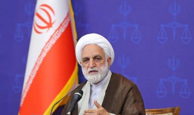 محسنی اژه‌ای: پشت‌ پرده اغتشاشات روشن شده است