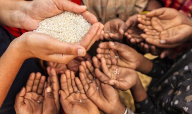 آمار تکان دهنده از دورریز مواد غذایی در ایران