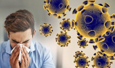 موج آنفلوآنزا در راه است؟