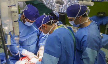 عمل پیوند سلول های بنیادی از دهنده نیمه سازگار در شیراز با موفقیت انجام شد    