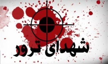 شهادت افسر پلیس  توسط تروریست‌ها