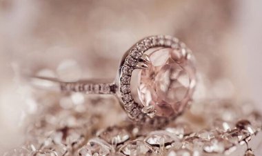 ببینید| سرقت جواهراتی به ارزش ۵۰۰ هزار دلار در سه دقیقه!