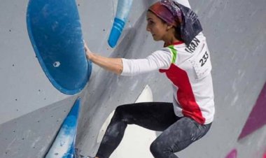 الناز رکابی ، عذر خواهی کرد