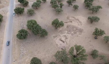 نتیجه کاوش در یک گورستان ۳ هزار ساله در ایران   