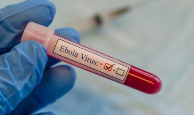 ابتلای سه تن به ویروس ابولا در اوگاندا   