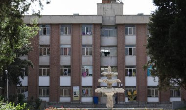 دانشجوی ارشد معماری خود را حلق آويز کرد