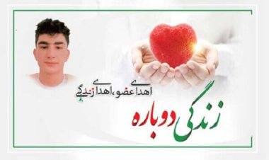 اعضای بدن دانش آموز فیروزآبادی به هفت بیمار زندگی داد