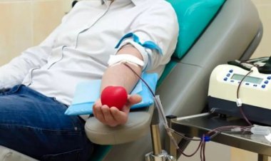 آژیر خطر کمبود خون در بوشهر به صدا درآمد