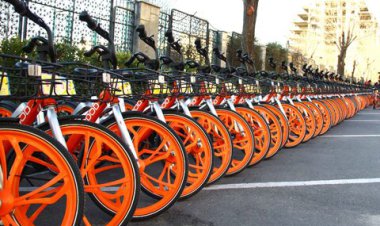 دوچرخه‌های اشتراکی به شیراز باز می‌گردد