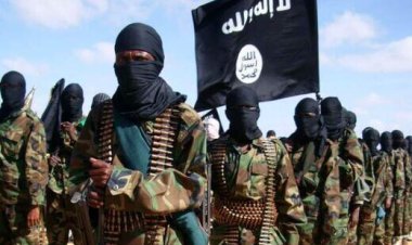 هدف عجیب داعش از حمله تروریستی به شاهچراغ(ع)