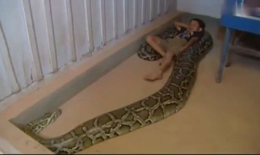 دوستی عجیب پسر بچه با مار پیتون