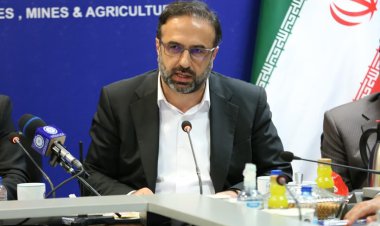 اظهارات رئیس کل دادگستری البرز درباره آرمیتا عباسی