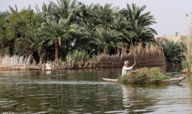 صدور دستور توقف احداث یک طرح پتروشیمی در تالاب شادگان