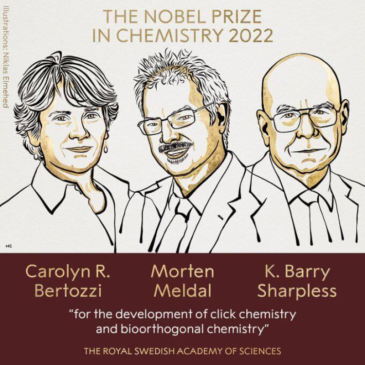 اسامی برندگان جایزه شیمی نوبل ۲۰۲۲ اعلام شد