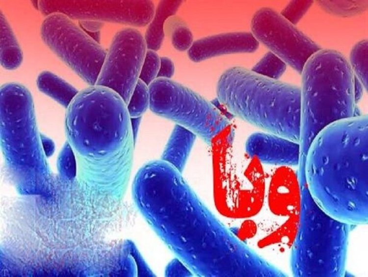 شناسایی کودک سه ساله مبتلا به وبا در لار
