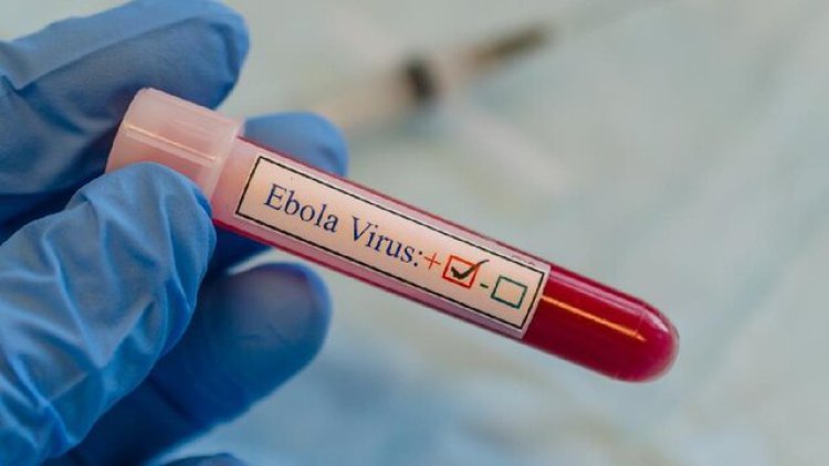 ابتلای سه تن به ویروس ابولا در اوگاندا   