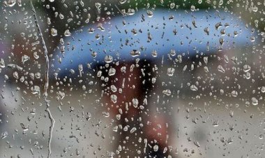 بارش باران در فارس آغاز شد