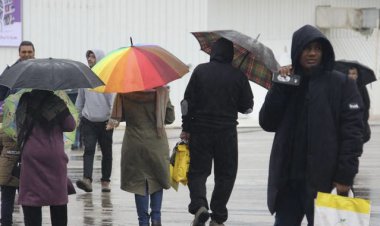 نمایشگاه خرمای شیراز غوطه ور در آب!
