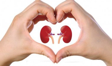 برای داشتن کلیه های سالم چی بخوریم؟